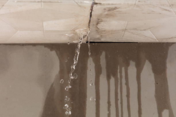 Professional Flood Damage Cleanup technician working in Thiells, NY